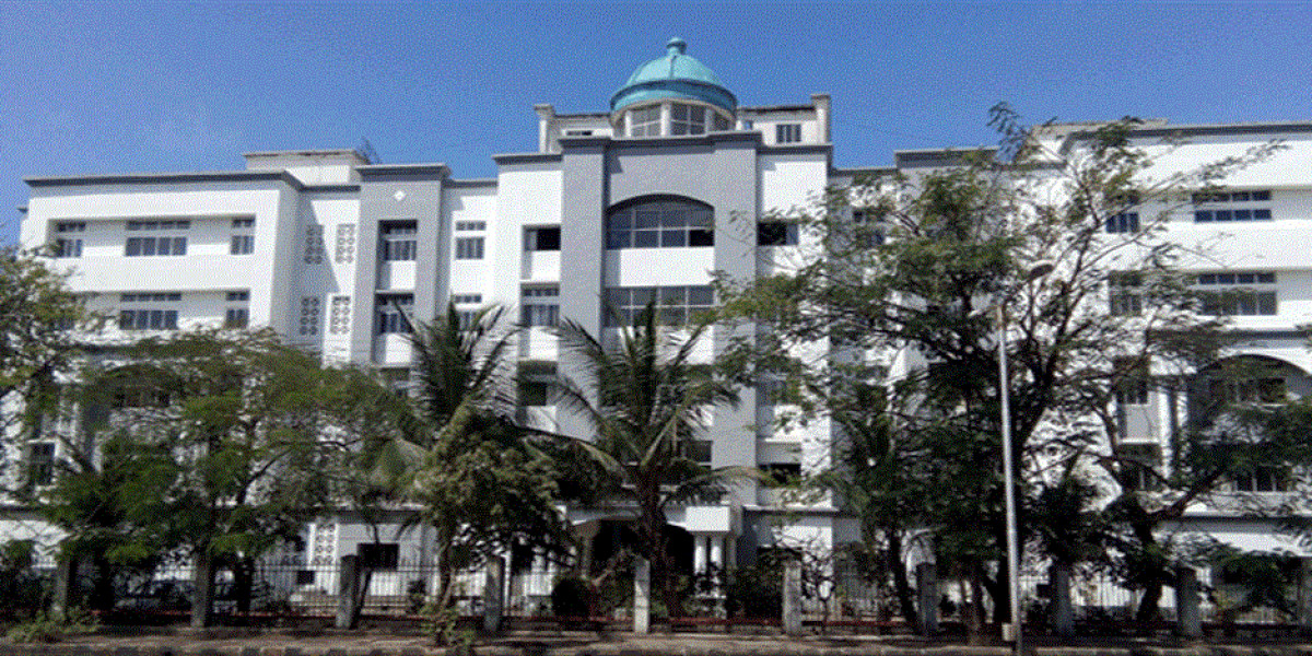 Best Faculty Support for Mechatronics Engineering Students at Terna Engineering College