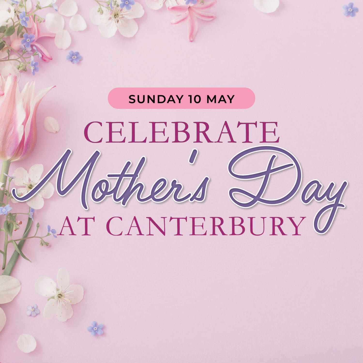 Celebrate Mother’s Day at Canterbury | Family Dining Sydney