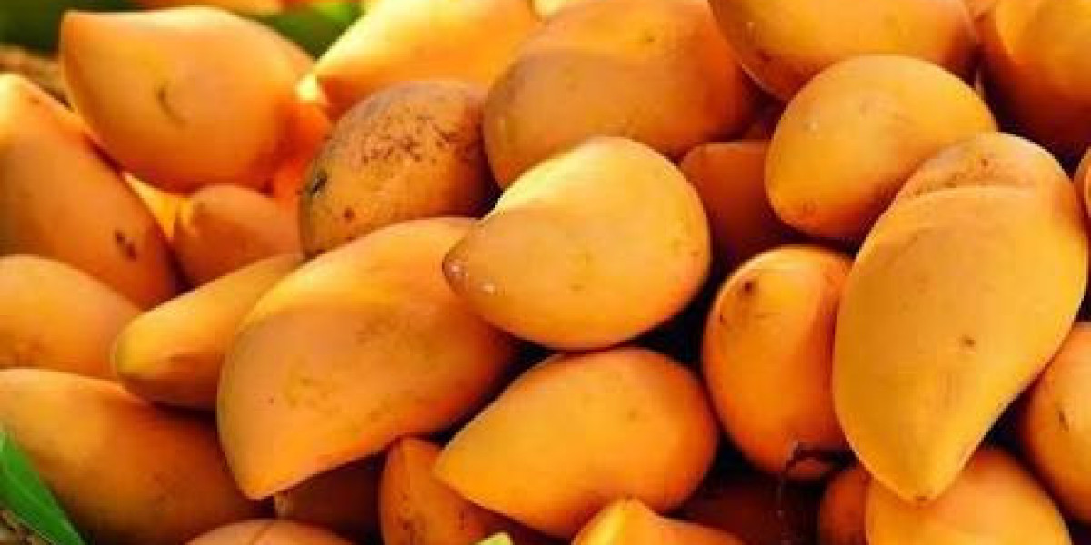Dry Mango Companies in Pakistan Dried Mango Products to Local and Global Markets