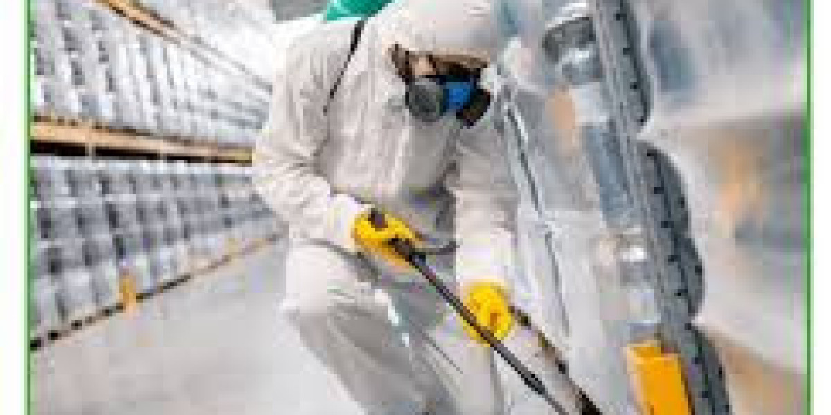 Termite Control Services in Lahore Providing Safe Property Protection Solutions
