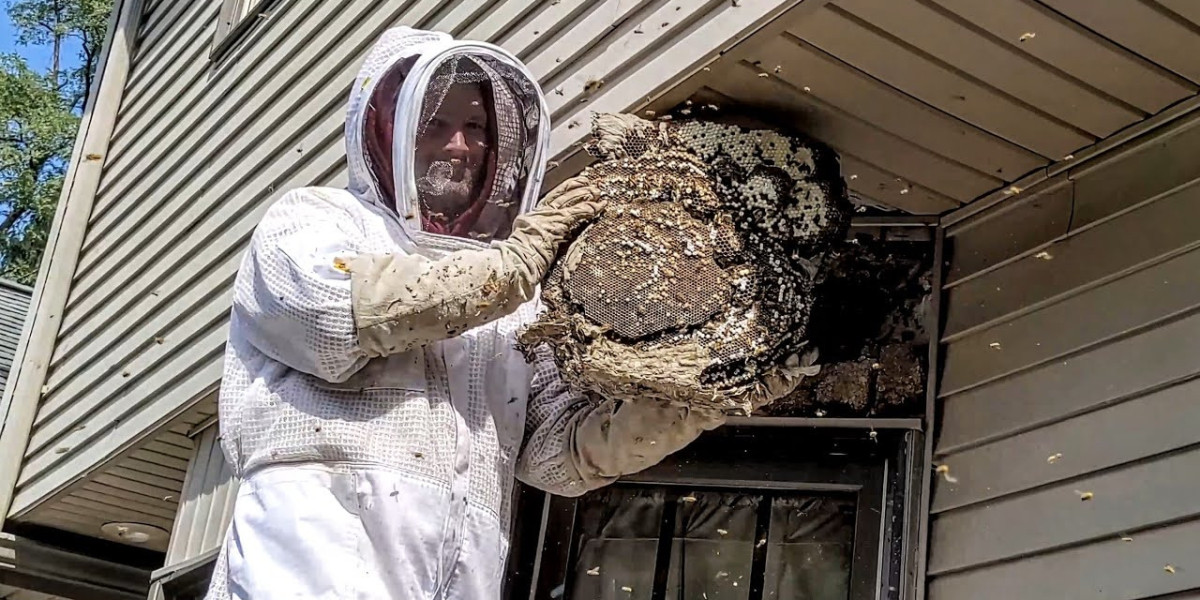 Benefits of Safe Bee Management Around Your Home