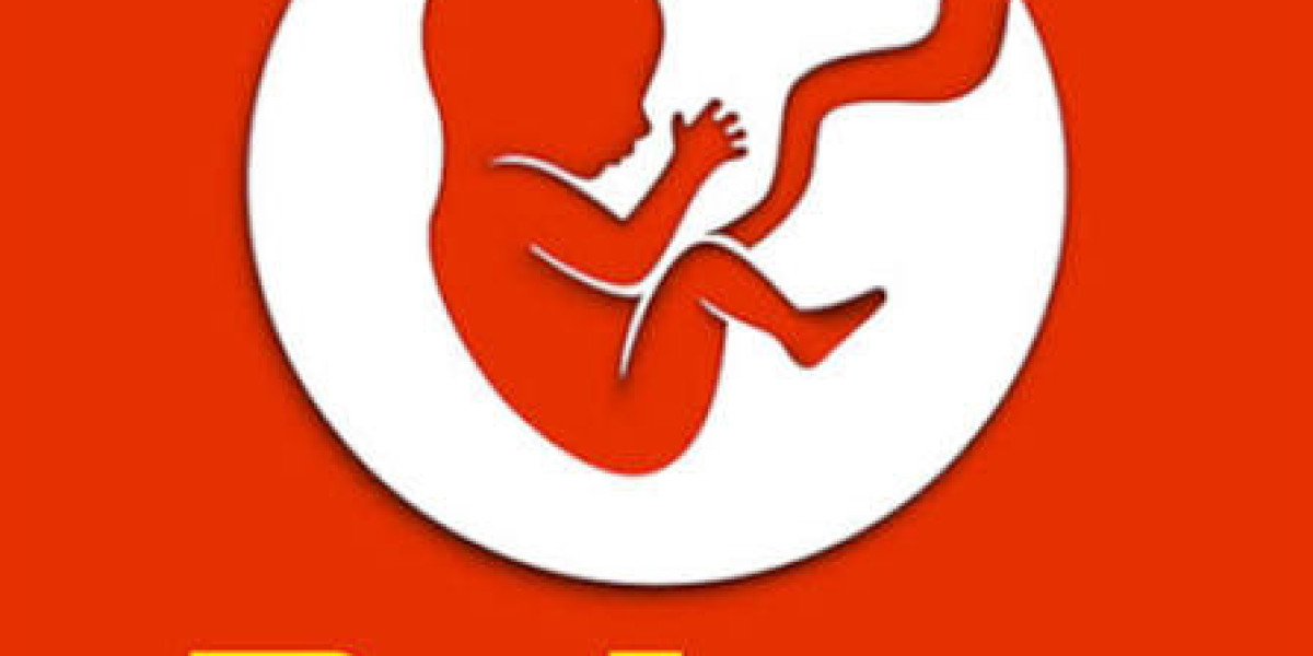 How to Experience BitLife: The Ultimate Text-Based Life Simulator