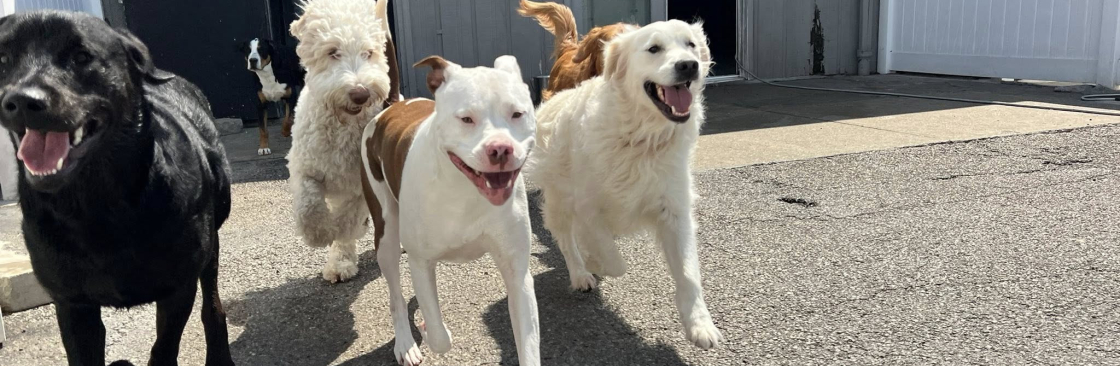 Diamond Kennels Cover Image