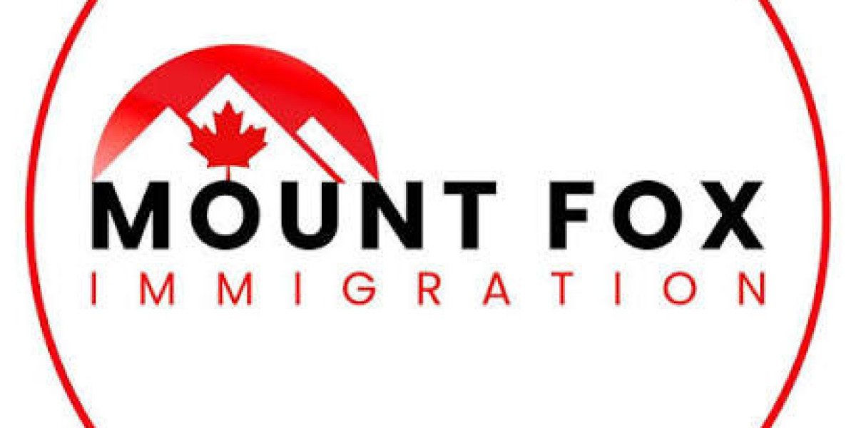 Personalized Immigration Guidance
